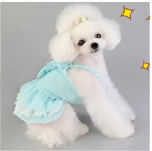 Pink Blue Pet Bulldog Dress Spring Summer Party Skirt Teddy French Cat Dress