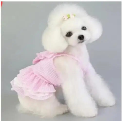 Pink Blue Pet Bulldog Dress Spring Summer Party Skirt Teddy French Cat Dress