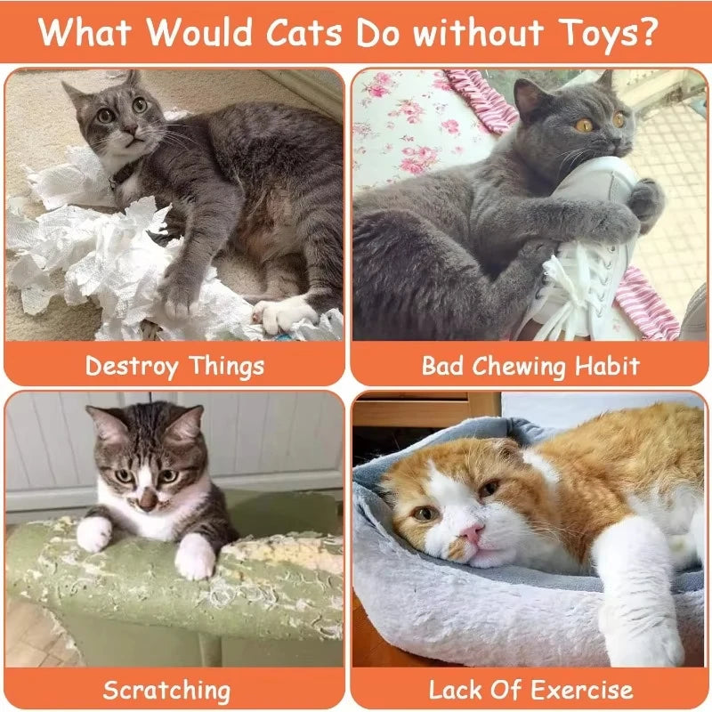 5 Pcs Plush Catnip Toys, Cat Self Entertainment Bite Toys, Anti-boredom and Anti-damage Home, Pet Cat Toys