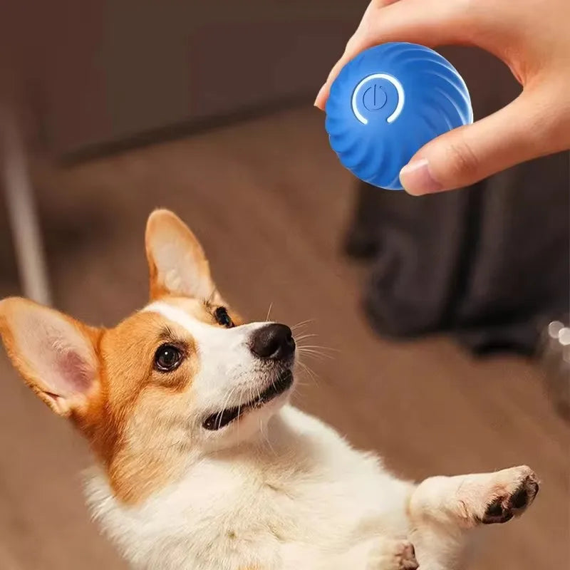 Cat Interactive Ball Training Self-moving Kitten Electric Cat Ball Toys Electronic Automatic Rolling Magic Ball Toys for Cat Cat