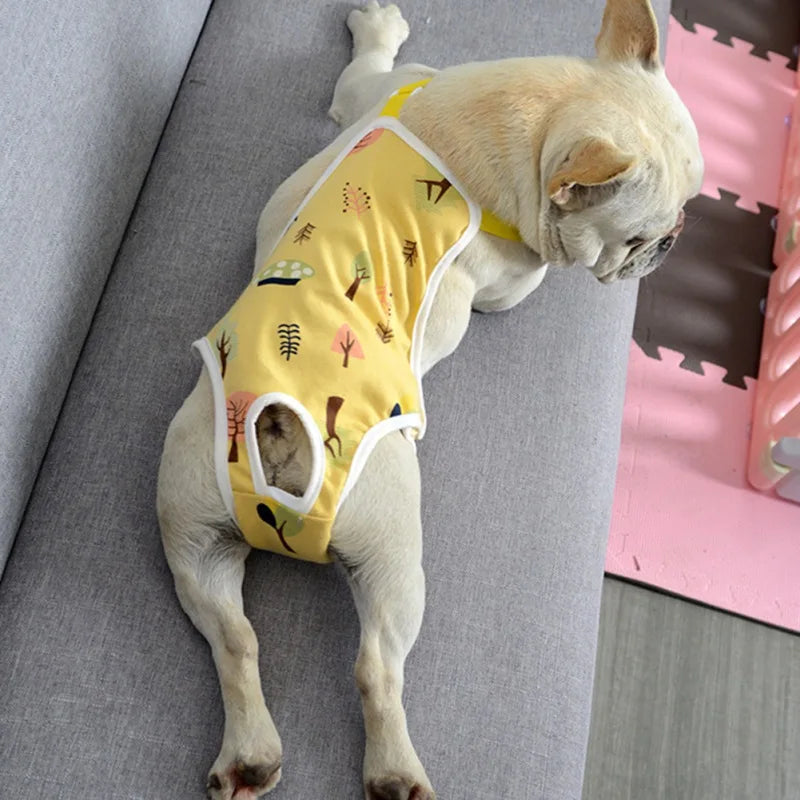 Unisex Pet Physiological Pants Underwear Dog Clothes Puppy Diaper Strap Briefs Female Sanitary Panties Shorts Pet Supplies