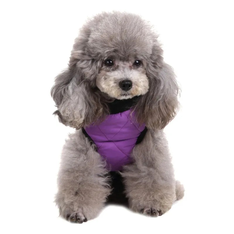 Winter Pet Clothes Warm Jacket Coat With Zipper Dog Clothes Leisure Clothing For Chihuahua French Bulldog Outfits