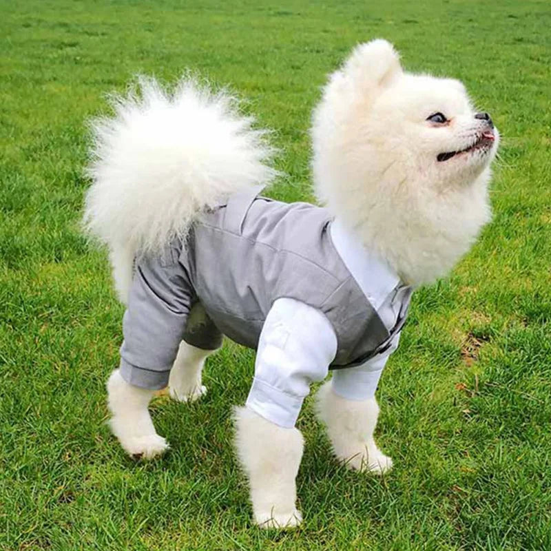 Dog Tuxedo Suit For Small Medium Breed Formal Tuxedo Vest With Bow Tie Dog Clothes Gentleman Pet Wedding Birthday Party Costume