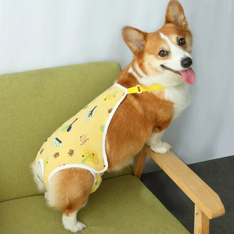 Unisex Pet Physiological Pants Underwear Dog Clothes Puppy Diaper Strap Briefs Female Sanitary Panties Shorts Pet Supplies