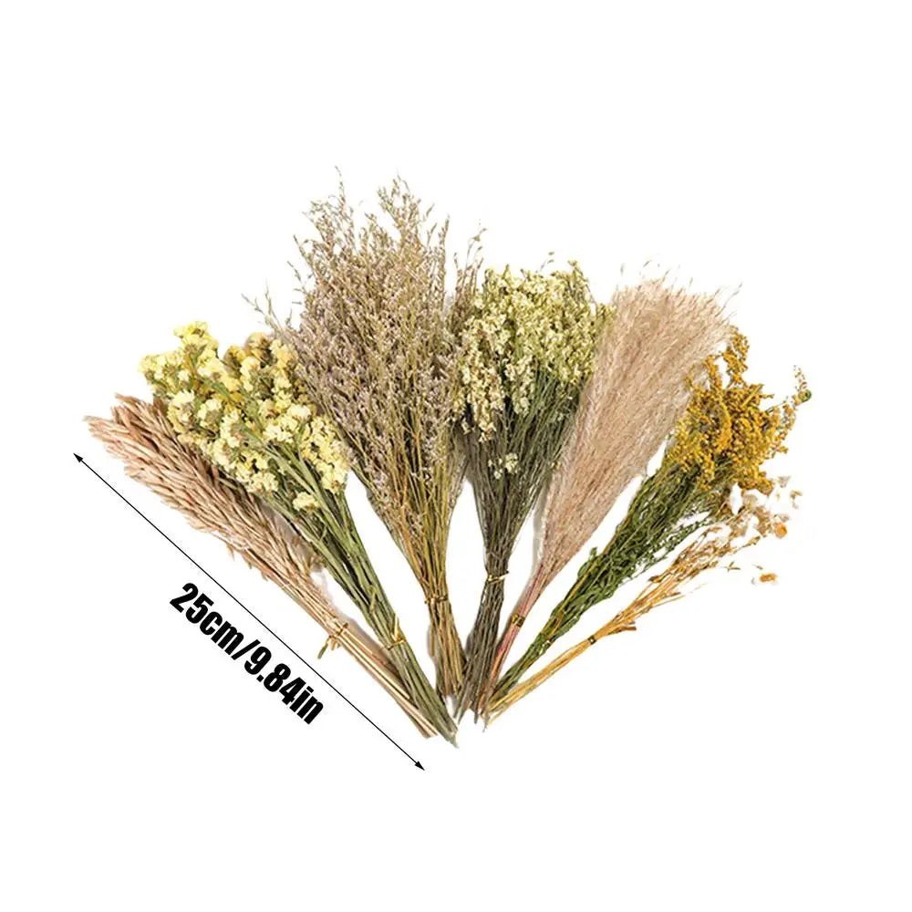 Flower And Plant Bedding Hamster Deodorizing Bedding Golden Bear Nest Landscaping Supplies Dried Flowers