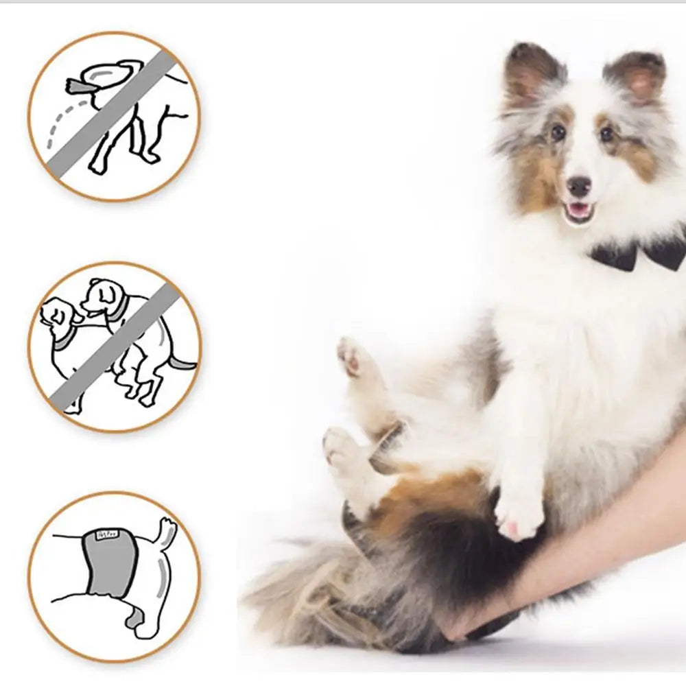 Cotton Cloth Dog Diaper Band Male Dog Belly Band Diapers For Pee Training Incontinence Anti-Harassment Reusable Washable Cloth