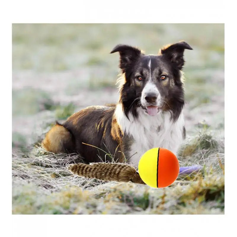 1 Piece Pet Rolling Ball Lovely Pet Dog Cat Weasel Motorized Rolling Ball Appears Jump Moving Toy Pet Accessories