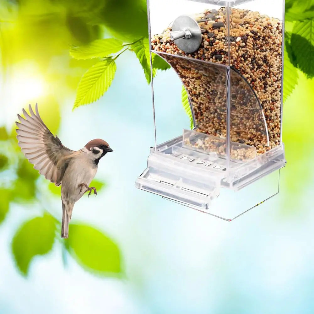 Acrylic Bird Feeders Anti Spill Automatic Parrot Feeder Drinker TransparentParakeet Feeders For Bird Cage Cage Accessories