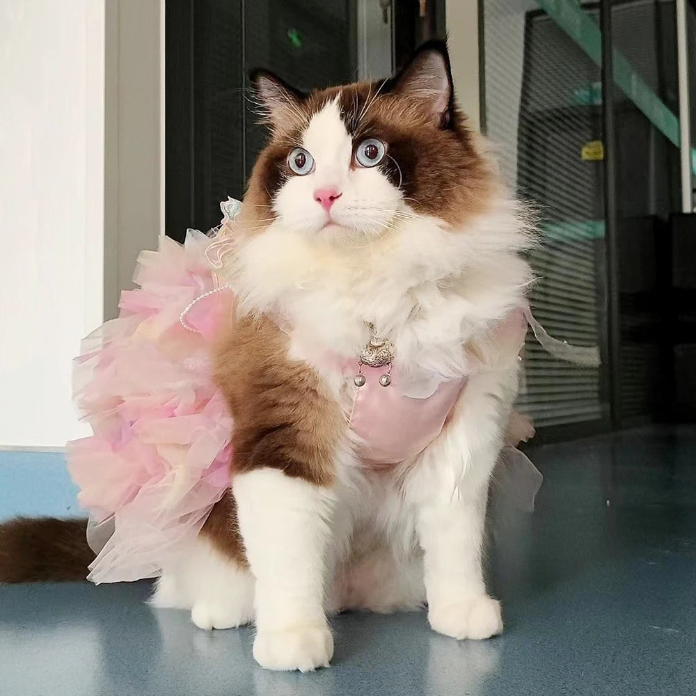 Summer Small Dog Princess Dress Gorgeous Chihuahua Cute Cat Dress Party Butterfly Cat Skirt Dog Clothing Accessories