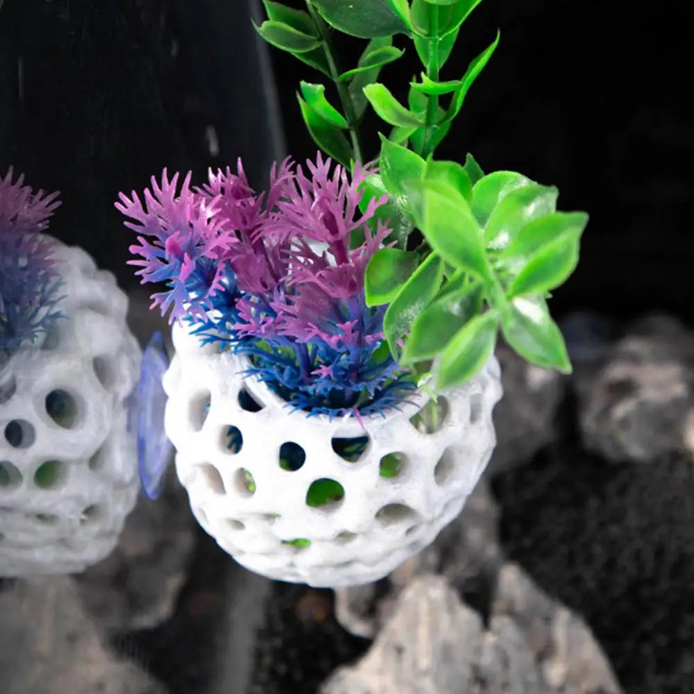 Shrimp Hides for Aquarium Hide Cave Aquarium Shrimp Fish Tank Hide Cave Stable Aquarium Hideouts Cave Aquatic Decoration