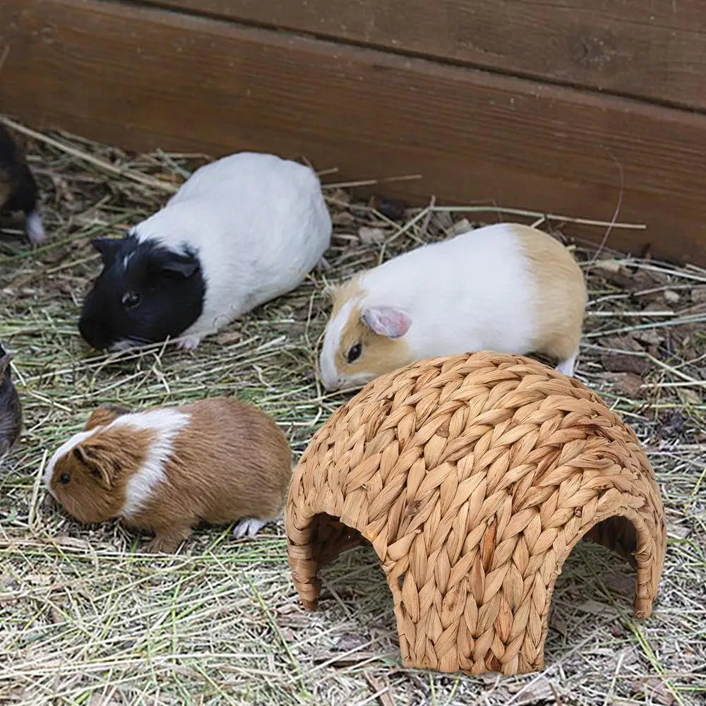 Rabbit Tunnel Safe Bunny Grass House Natural Cattail Hideout Hand Made Cattail House For Guinea Pig Hamsters Chinchilla Ferret
