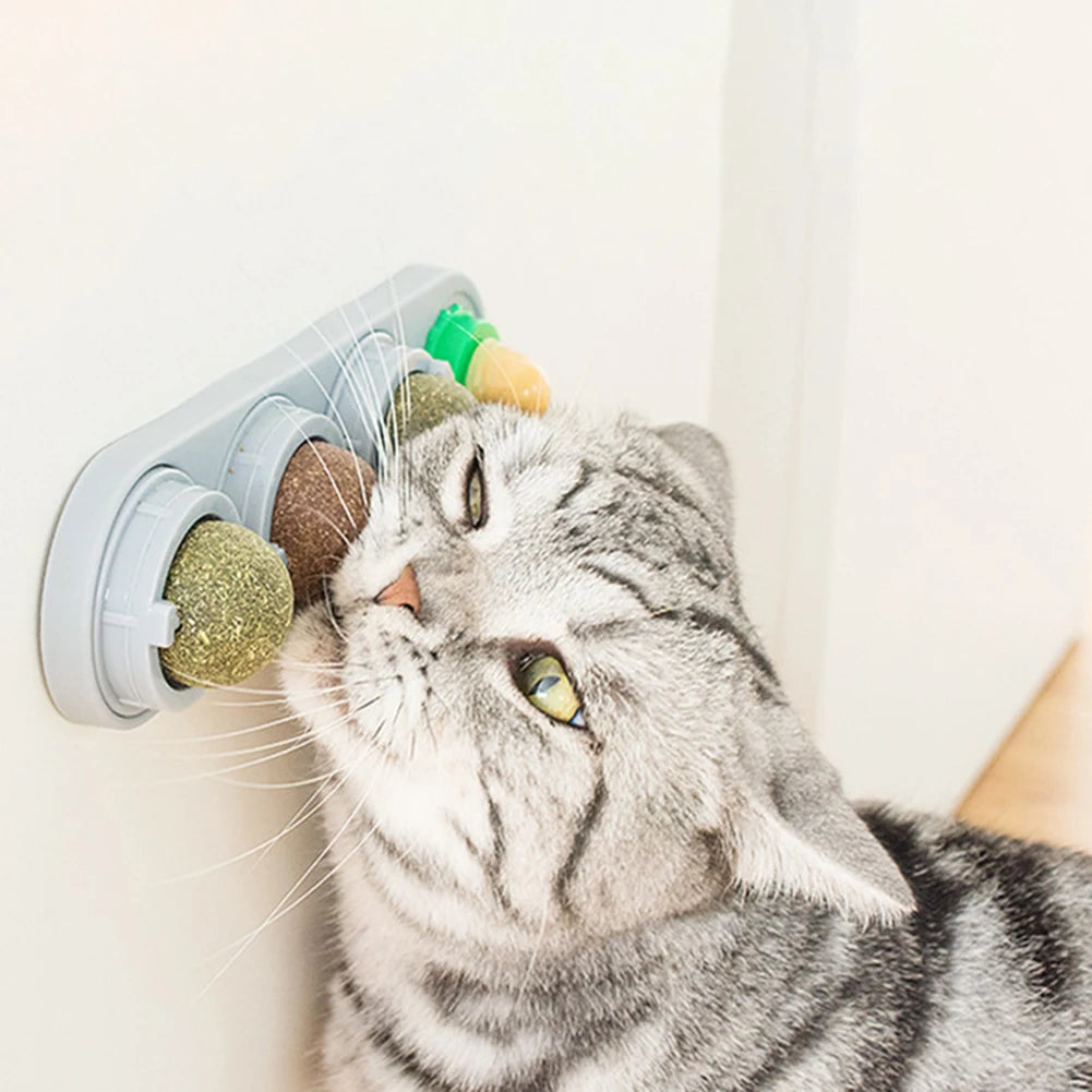 For Cat Mint Ball Healthy Natural Safety Pet Catnip Toys Cat Nip Lollipop Catmint Supplies Matatabi Cleaning Teeth Stick Molar