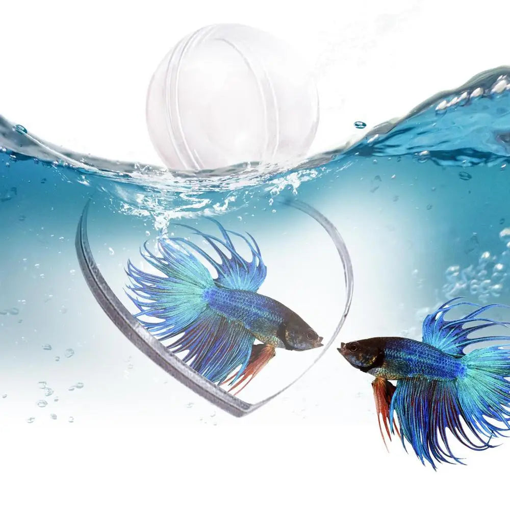 Floating Betta Exercise Mirror Double-sided Adhesive Aquarium Fish Mirror Mirror For Betta Fish Exercise For Home Living Room