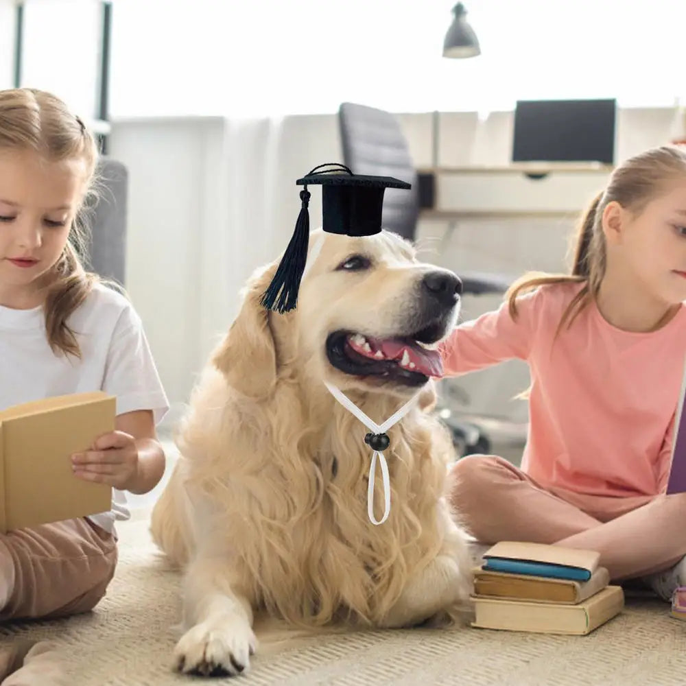 Pet Graduation Caps Mini Cats Dogs Graduation Hat For Photo Props Pet Dogs And Cats Graduation Party Dress