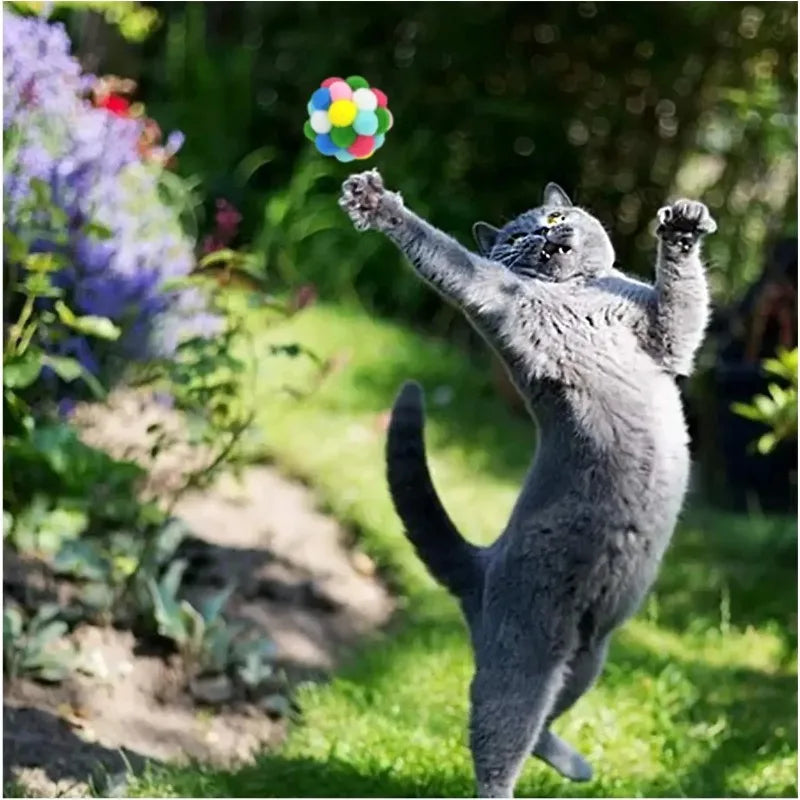 Cat Toys Colorful Bell Toys Elastic Ball Cat Grab and Bite Toys Cat Toys Interactive  Pet Toys Pet Products Cat Toys Interactive