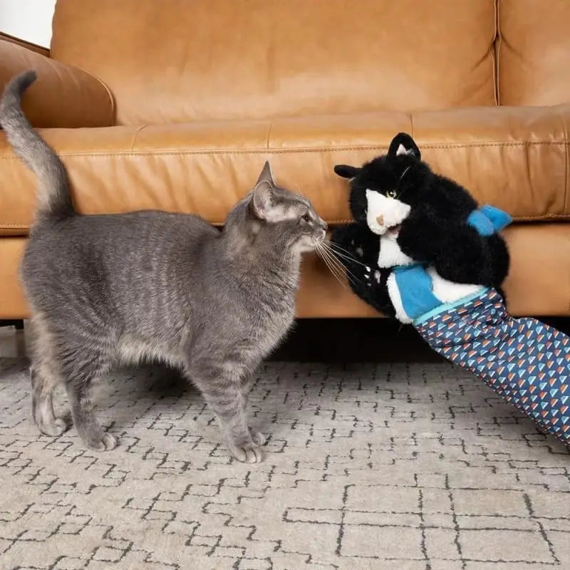 Cat Pet Toy Gloves Indoor Cat Toys Interactive Cat Toy Cat Wrestling Gloves Cat Wrestling Toys Puppet Cat Toy Pet Products