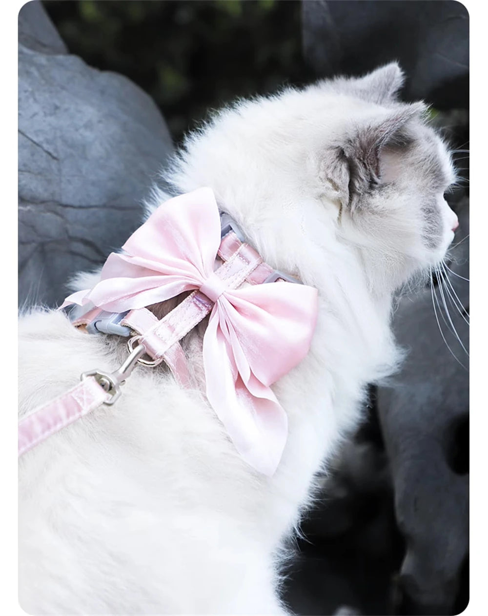Cute Bowknot Cat Harness Accessories Princess Cat Dress Costumes Kitten Puppy Harness For Cats Leash