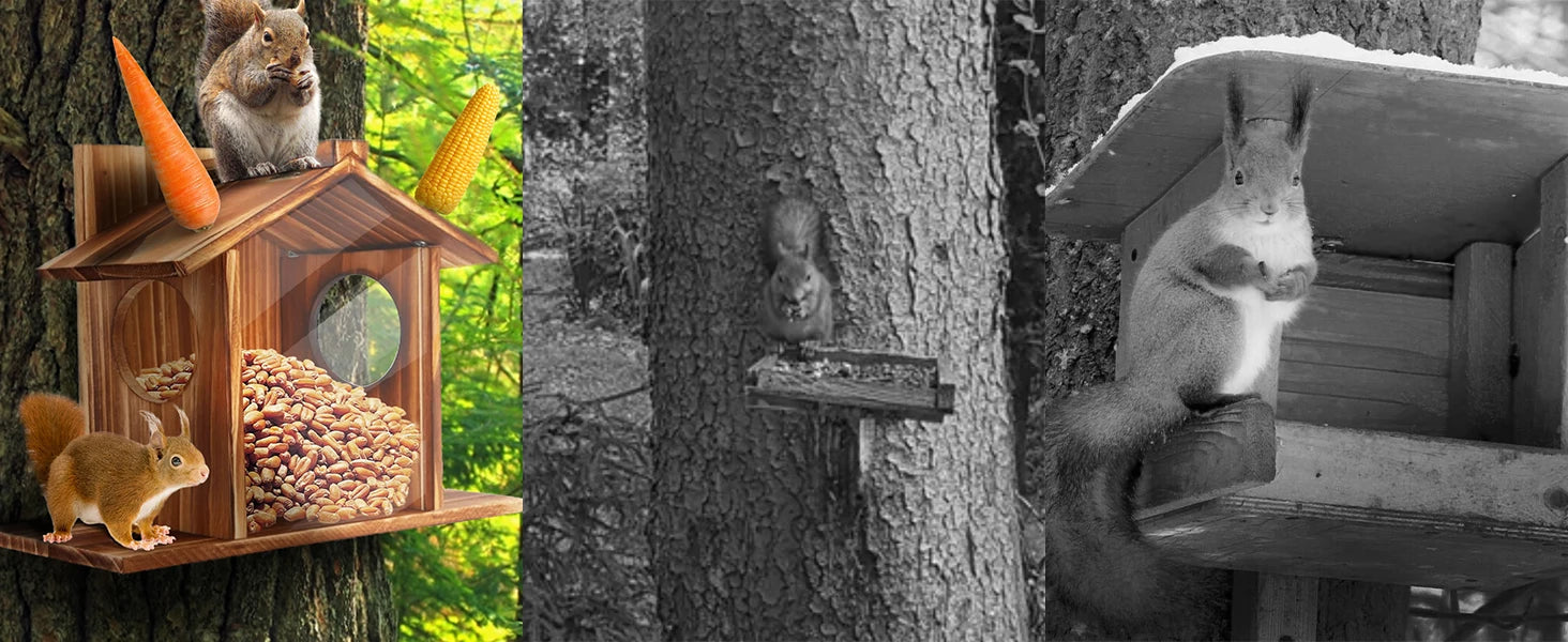 Garden Tree Squirrel Feeder Wood House Picnic Table Food Feeding Station Box