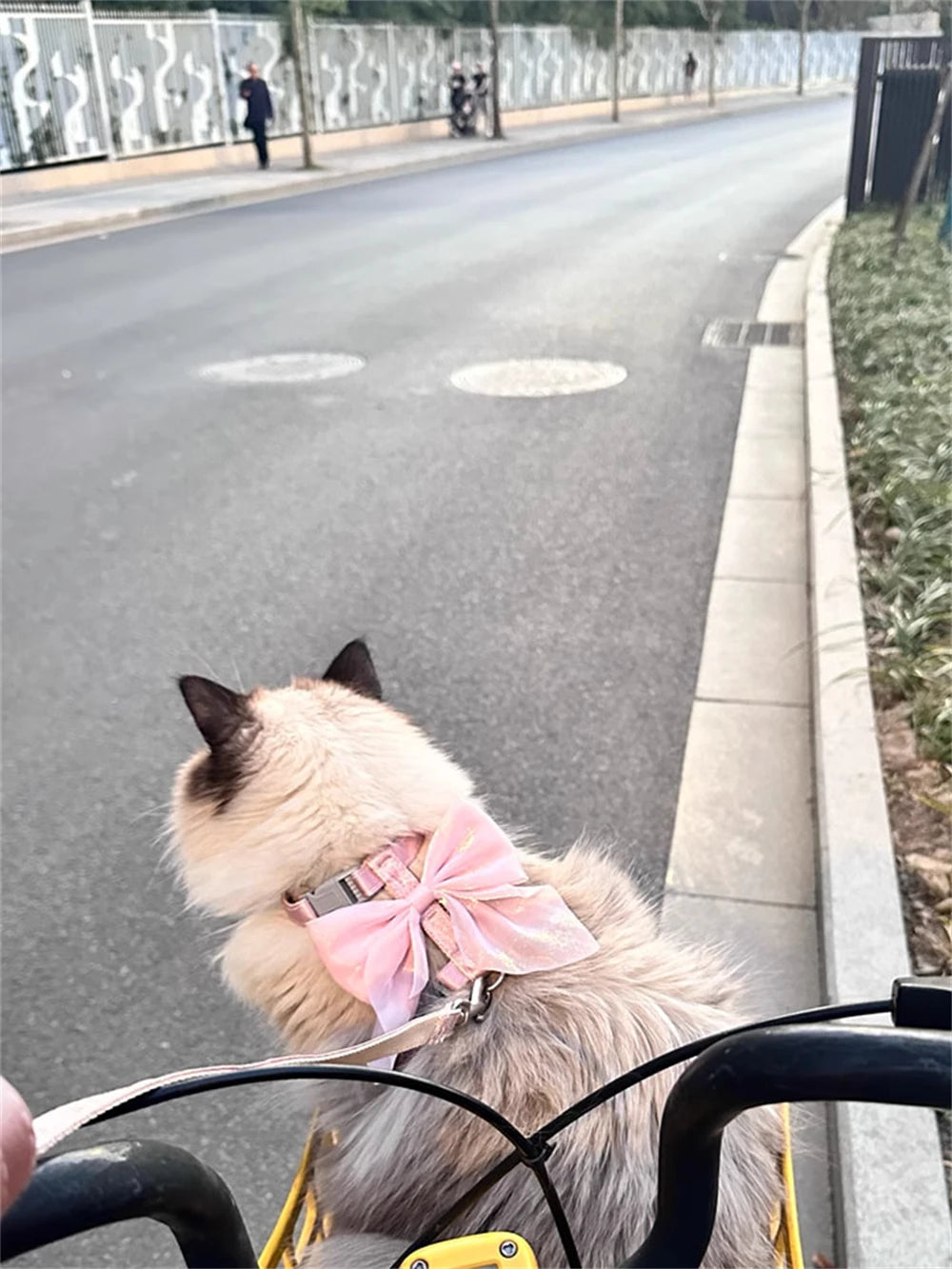Cute Bowknot Cat Harness Accessories Princess Cat Dress Costumes Kitten Puppy Harness For Cats Leash