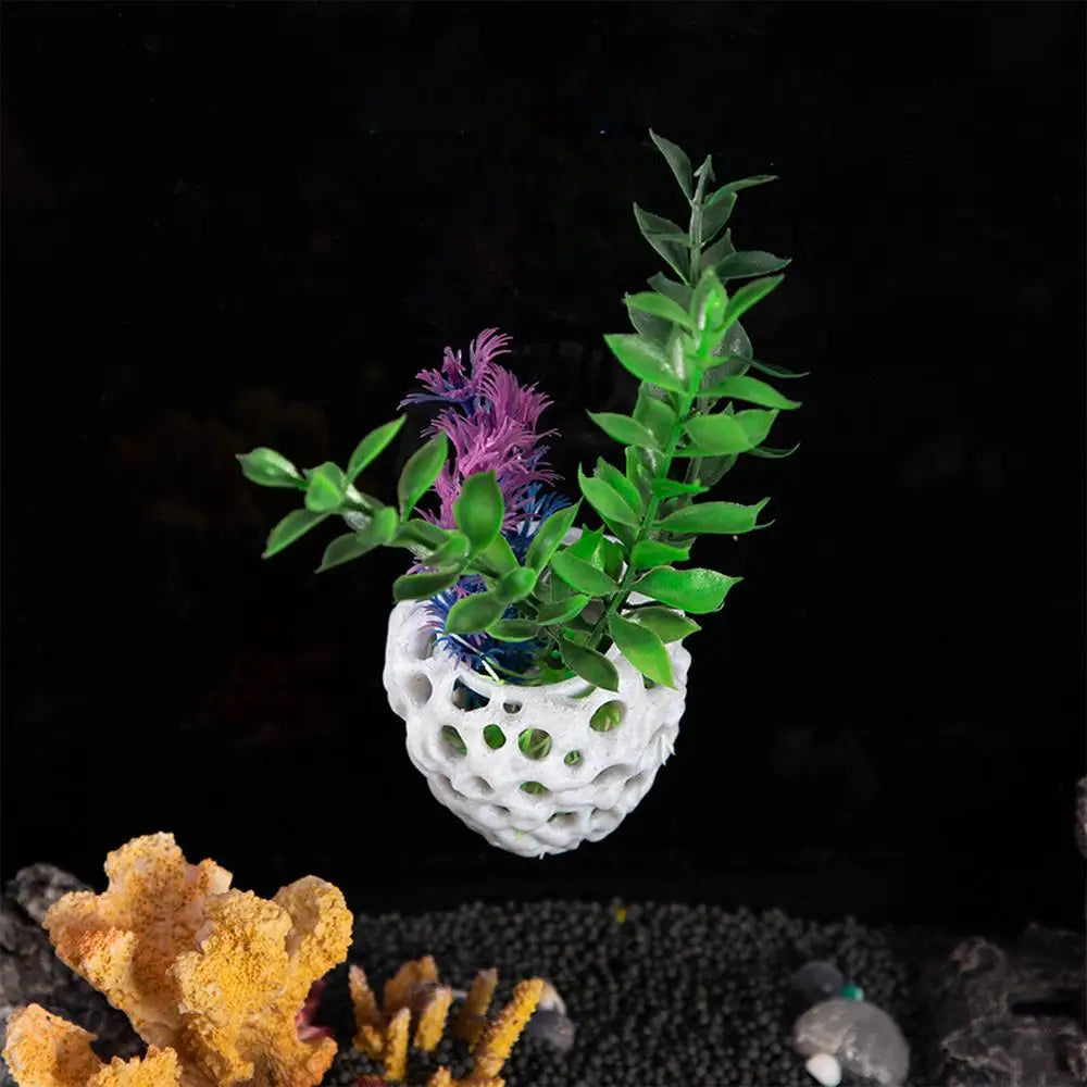 Shrimp Hides for Aquarium Hide Cave Aquarium Shrimp Fish Tank Hide Cave Stable Aquarium Hideouts Cave Aquatic Decoration