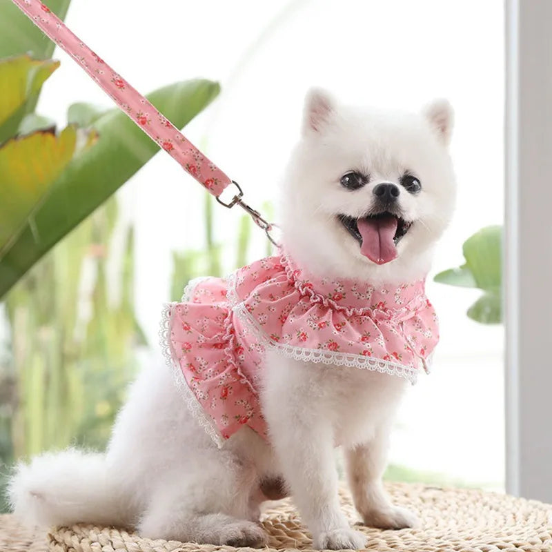 Dog Cat Harness Leash Set Adjustable Lace Floral Printed Pet Harness Vest Cute Dog Dress Pubby Mesh Harness Cat Walking Lead