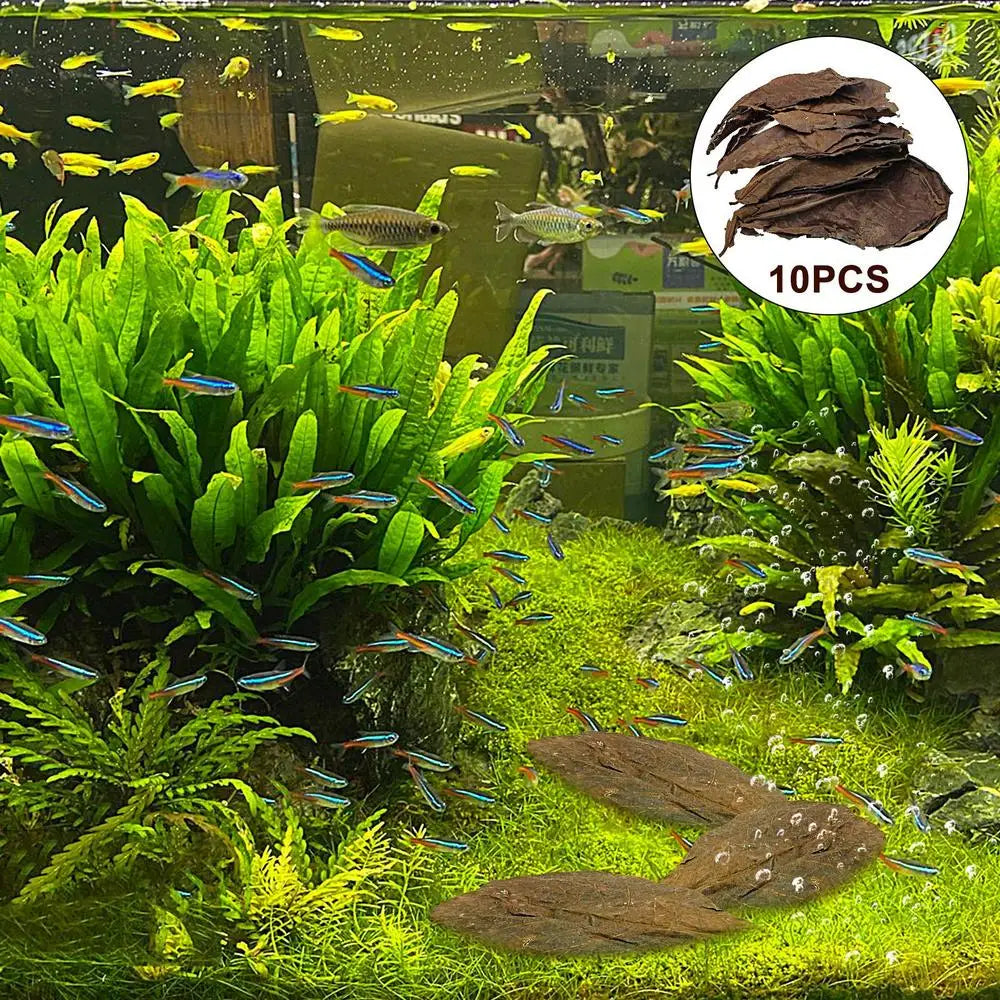 Catappa Leaf Betta Shrimp Leaves Aquarium Almond Leaf Lower pH Improve Water Quality Level Water Conditioner For Aquarium Turtle