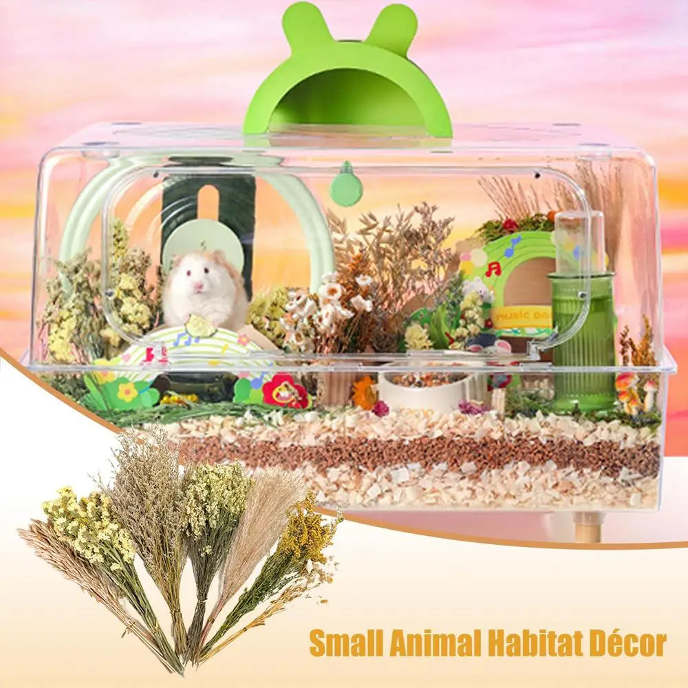 Flower And Plant Bedding Hamster Deodorizing Bedding Golden Bear Nest Landscaping Supplies Dried Flowers