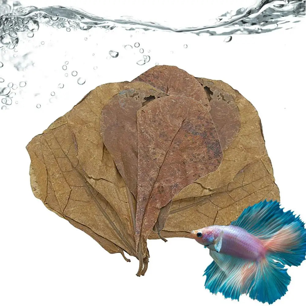 Catappa Leaf Betta Shrimp Leaves Aquarium Almond Leaf Lower pH Improve Water Quality Level Water Conditioner For Aquarium Turtle