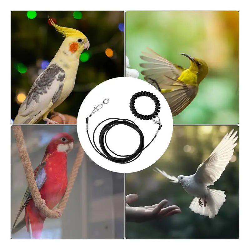 Bird Flying Training Rope Lightweight Pet Parrot Rope For Outdoor Flying Biting-Resistant Bird Training Toy With Ankle Foot Ring