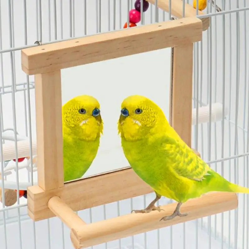 Bird Mirror Perches For Cage Cockatiel Climbing Branch Toy Natural Wood Parrot Cage Pole For Parakeets Cockatiels Lovebirds