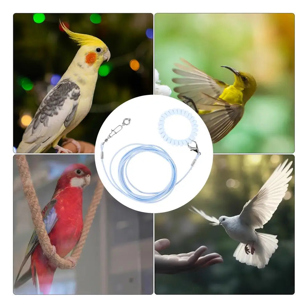 Bird Flying Training Rope Lightweight Pet Parrot Rope For Outdoor Flying Biting-Resistant Bird Training Toy With Ankle Foot Ring