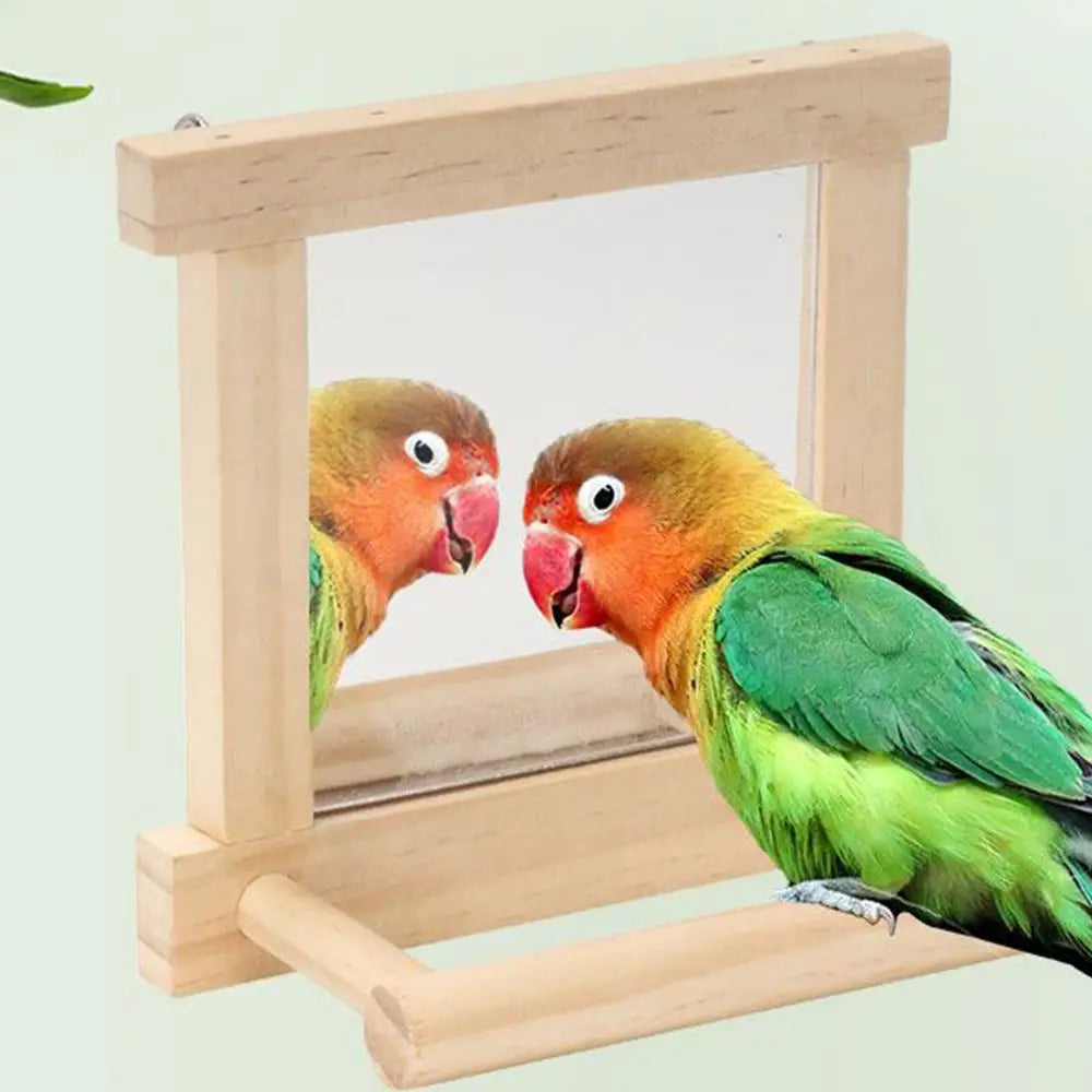 Bird Mirror Perches For Cage Cockatiel Climbing Branch Toy Natural Wood Parrot Cage Pole For Parakeets Cockatiels Lovebirds