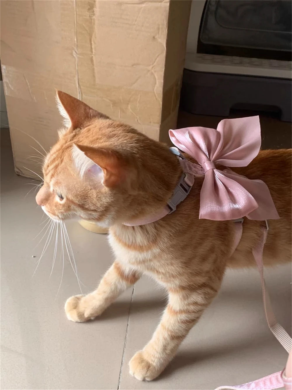 Cute Bowknot Cat Harness Accessories Princess Cat Dress Costumes Kitten Puppy Harness For Cats Leash