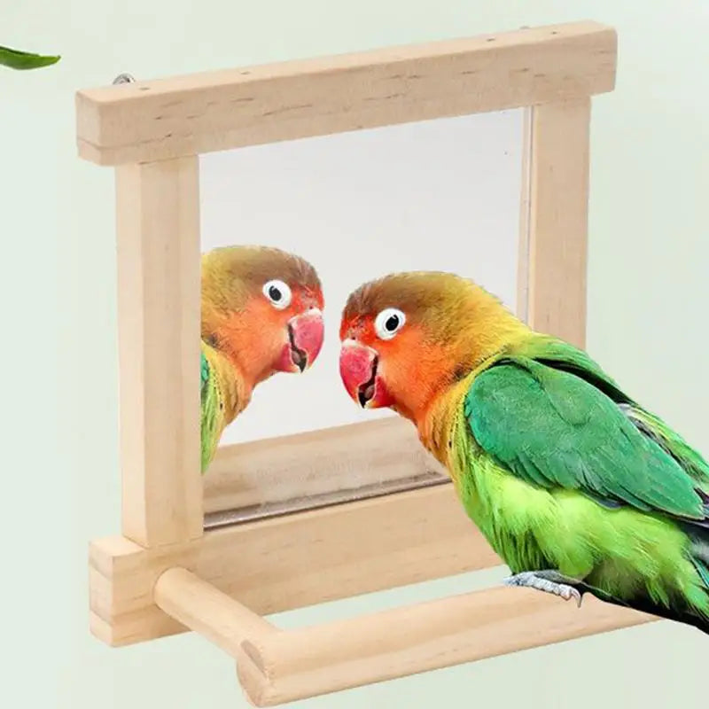 Bird Mirror Perches For Cage Cockatiel Climbing Branch Toy Natural Wood Parrot Cage Pole For Parakeets Cockatiels Lovebirds