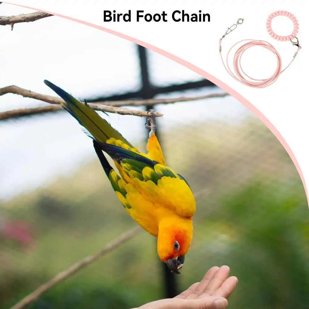 Bird Flying Training Rope Lightweight Pet Parrot Rope For Outdoor Flying Biting-Resistant Bird Training Toy With Ankle Foot Ring