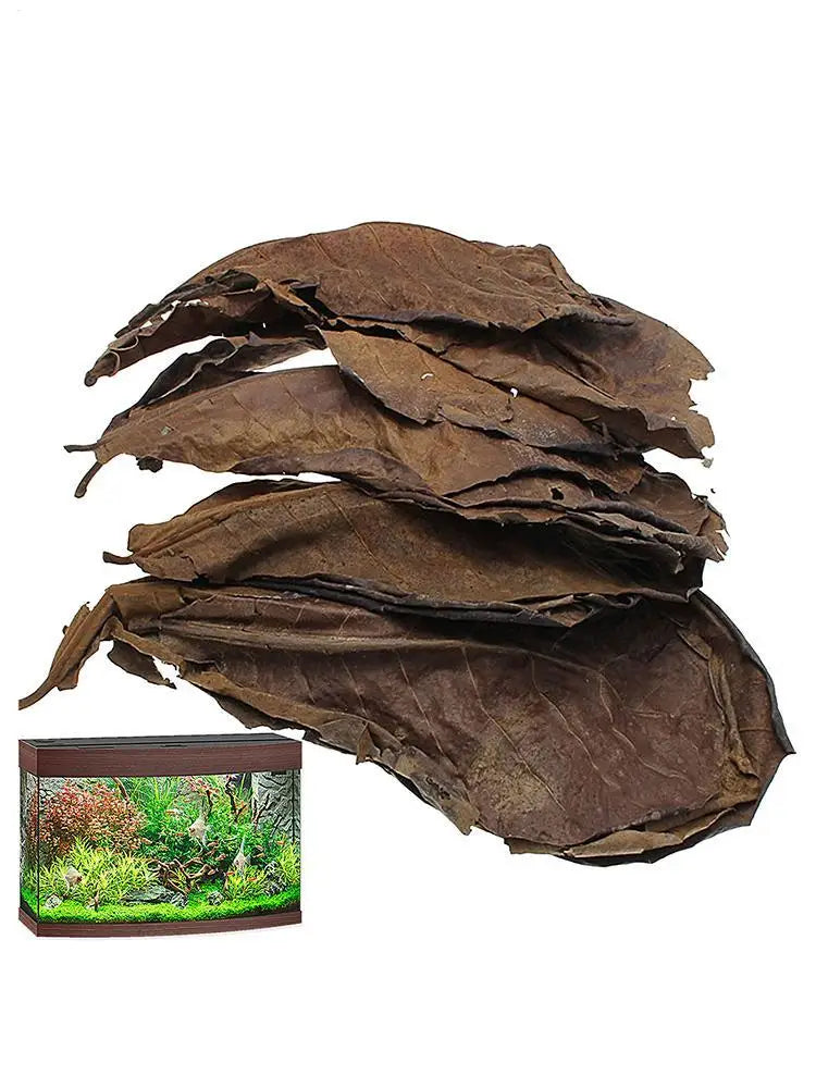 Catappa Leaf Betta Shrimp Leaves Aquarium Almond Leaf Lower pH Improve Water Quality Level Water Conditioner For Aquarium Turtle