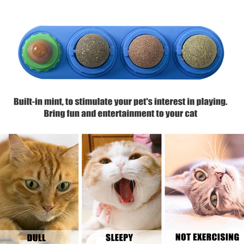 For Cat Mint Ball Healthy Natural Safety Pet Catnip Toys Cat Nip Lollipop Catmint Supplies Matatabi Cleaning Teeth Stick Molar