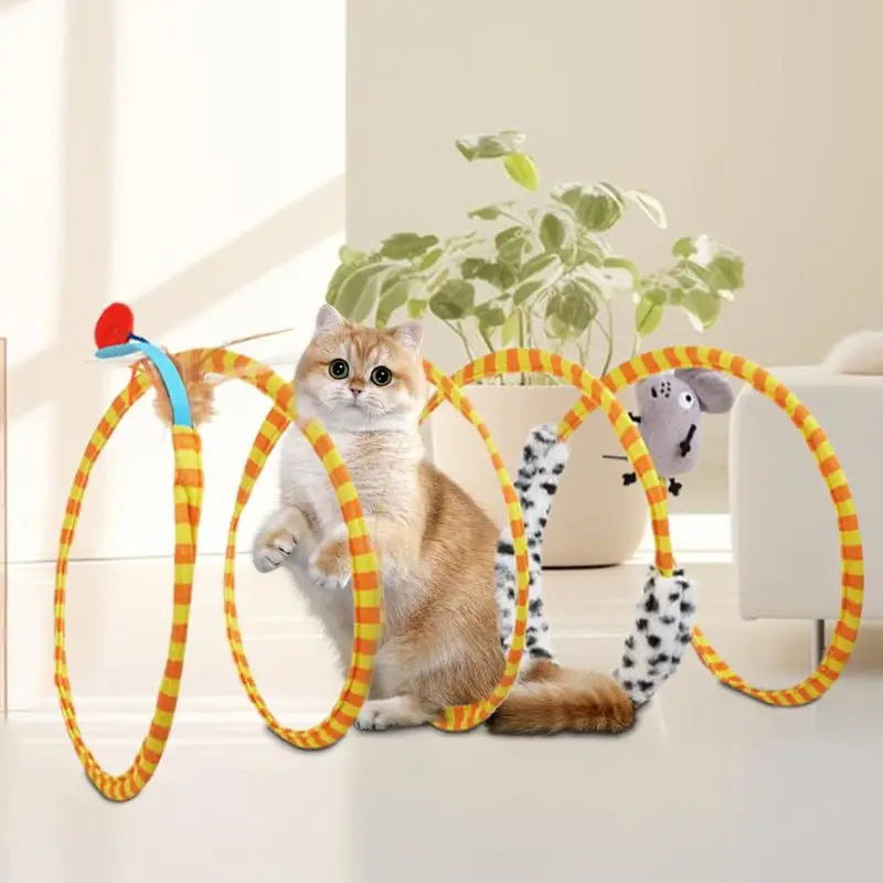 Cat Spring Toys Multifunctional Cat Tunnel Tube Large Foldable Cat Tube Tunnel With Feather Mouse Toys Cat Toy Springs Indoor
