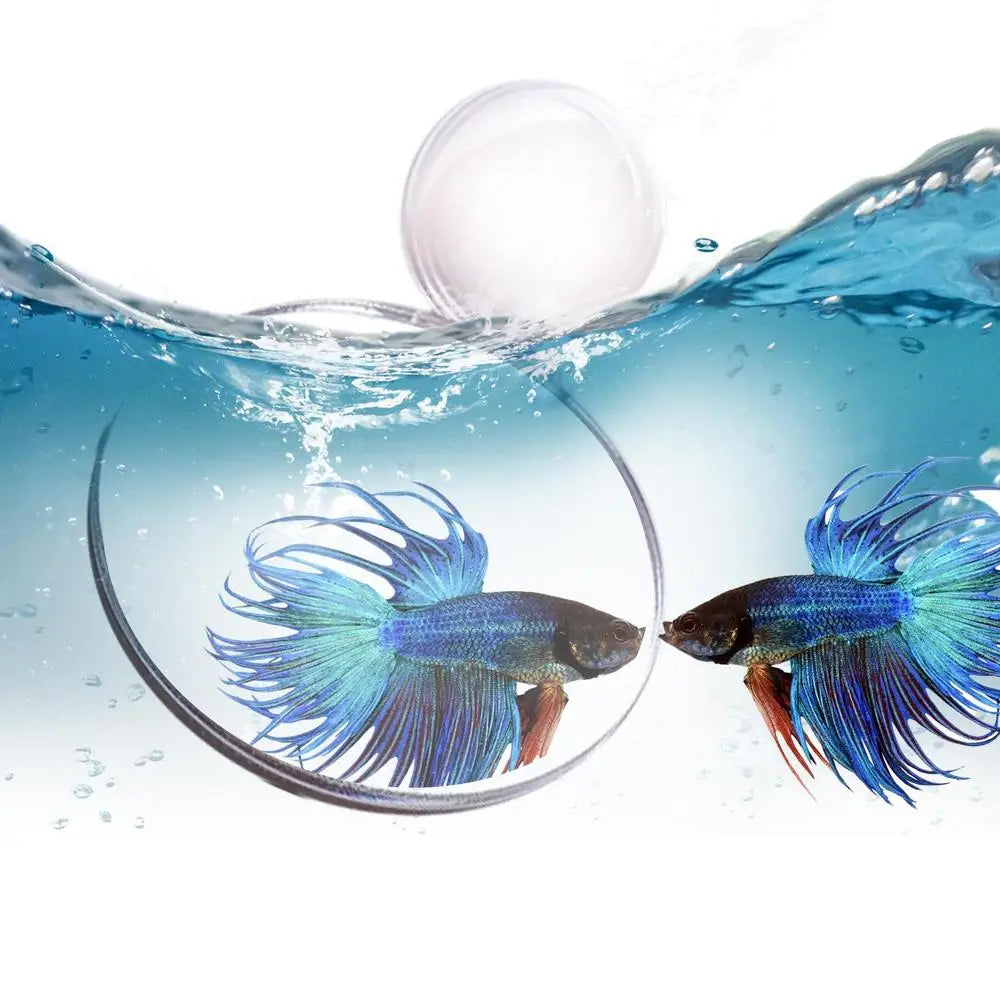 Floating Betta Exercise Mirror Double-sided Adhesive Aquarium Fish Mirror Mirror For Betta Fish Exercise For Home Living Room