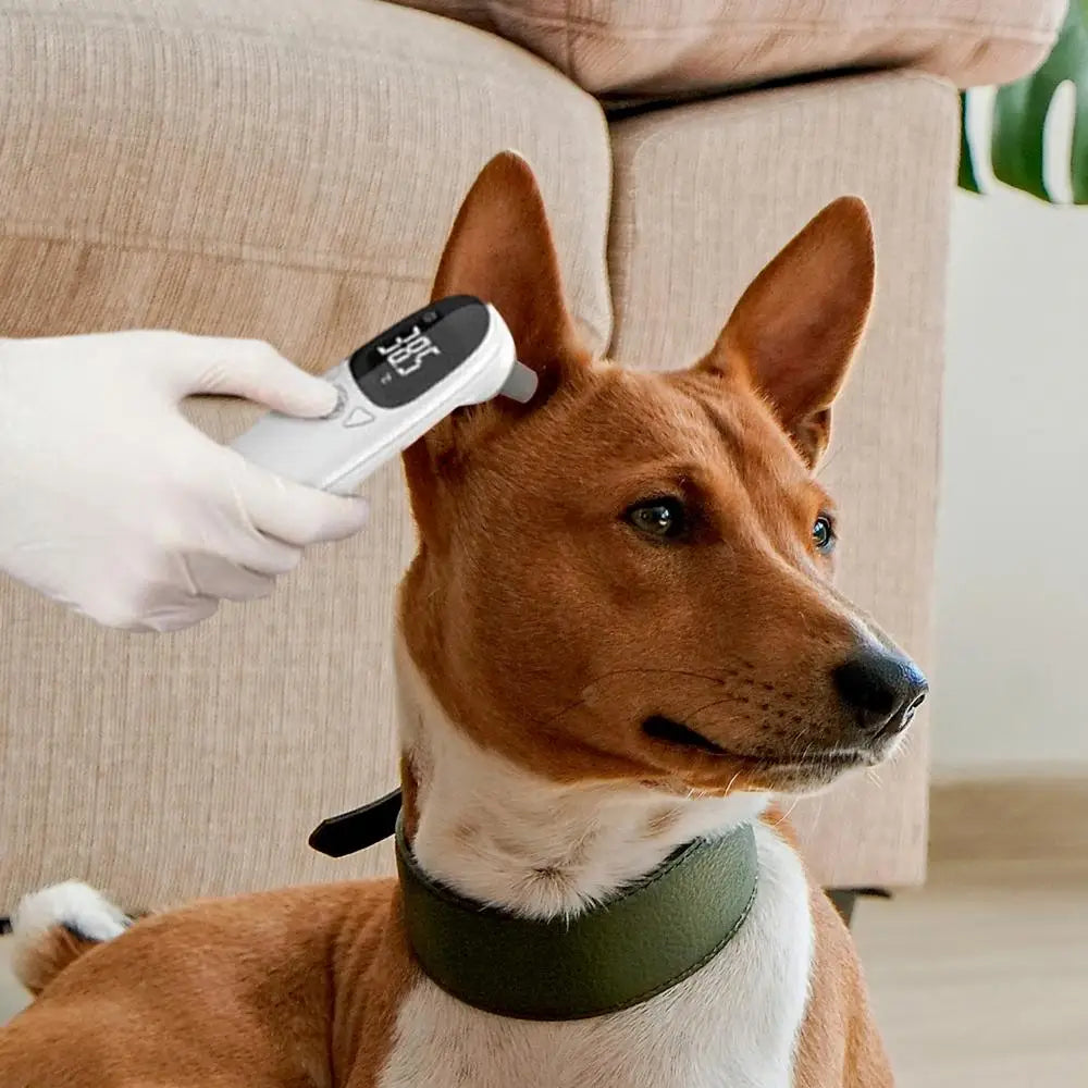 Pet Dog Cat Ear Digital Thermometers Pet Thermometers Animal Measuring Non-Contact Electronic Highly Accurate Pet Supplies