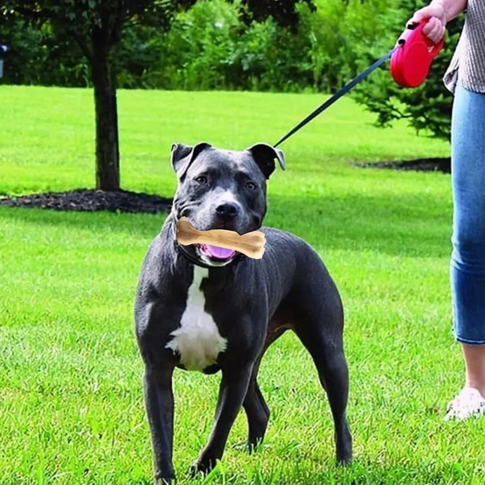 Small Dog Bone Toy Chewing Bone Not Easy To Break Beef Flavor Small Dog Bone Bite Resistant Chewing Toy For Home Outdoor