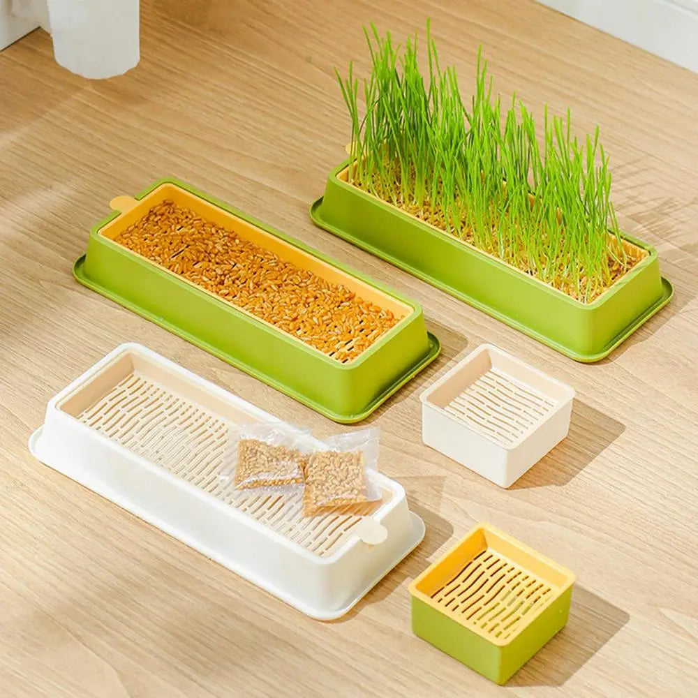Cat Grass Planter Layered Cat Plant Soilless Convenient Cat Grass Kit 4 Styles Pet Supplies Multifunctional For Veterinary