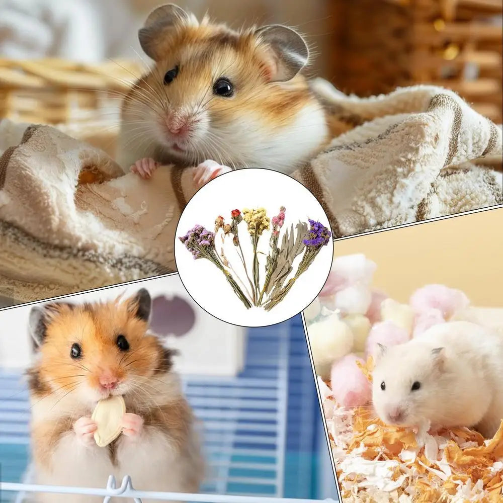 Flower And Plant Bedding Hamster Deodorizing Bedding Golden Bear Nest Landscaping Supplies Dried Flowers