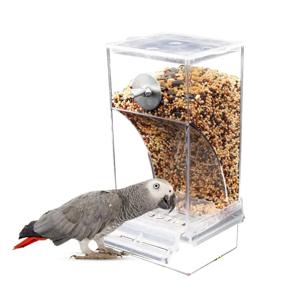 Acrylic Bird Feeders Anti Spill Automatic Parrot Feeder Drinker TransparentParakeet Feeders For Bird Cage Cage Accessories