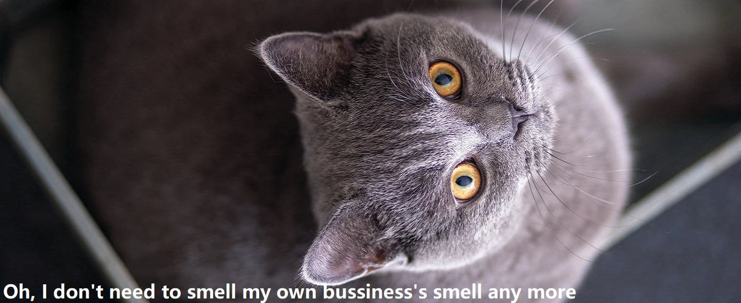 Stainless Steel Cat Litter Box