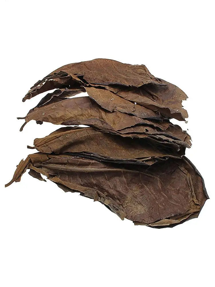Catappa Leaf Betta Shrimp Leaves Aquarium Almond Leaf Lower pH Improve Water Quality Level Water Conditioner For Aquarium Turtle