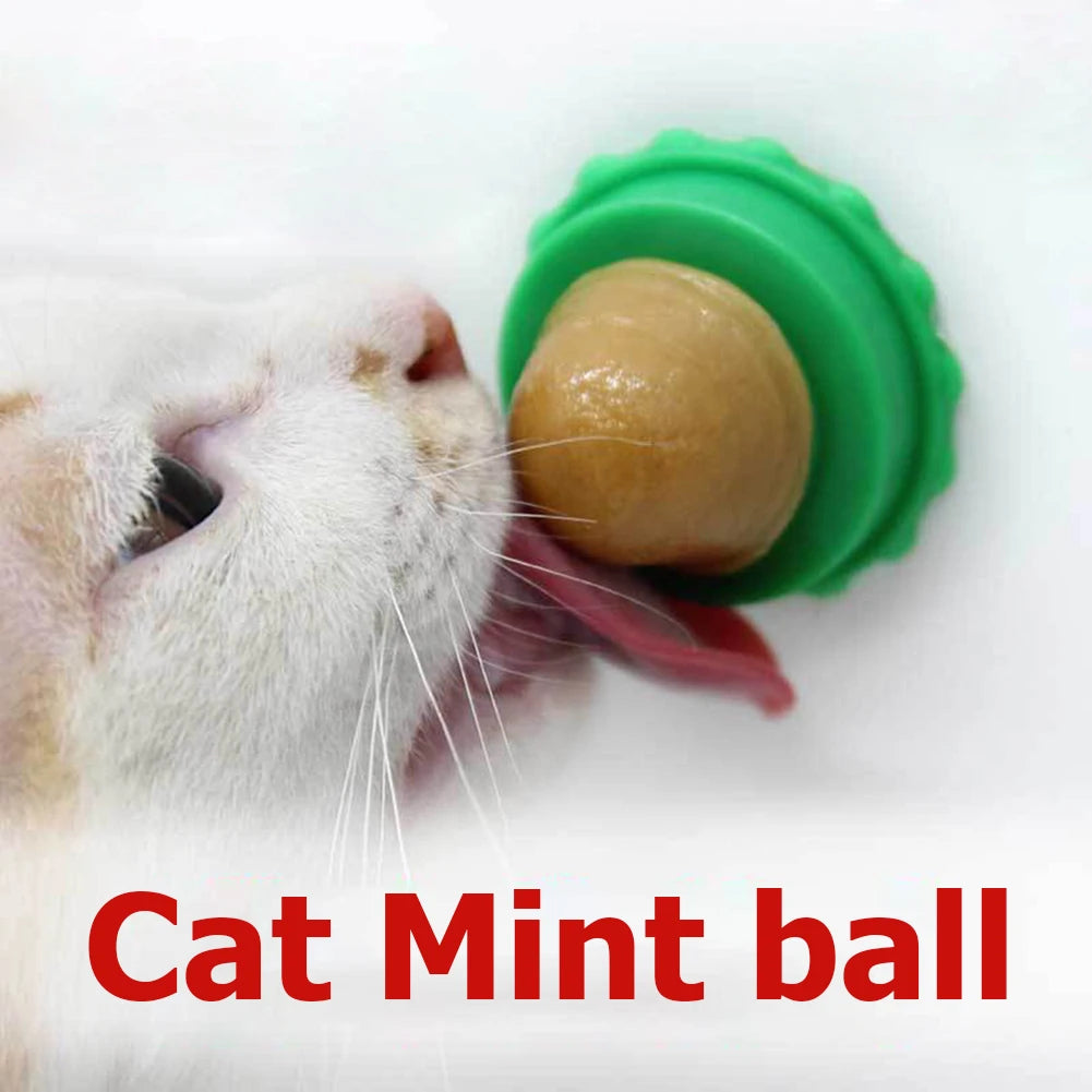 For Cat Mint Ball Healthy Natural Safety Pet Catnip Toys Cat Nip Lollipop Catmint Supplies Matatabi Cleaning Teeth Stick Molar