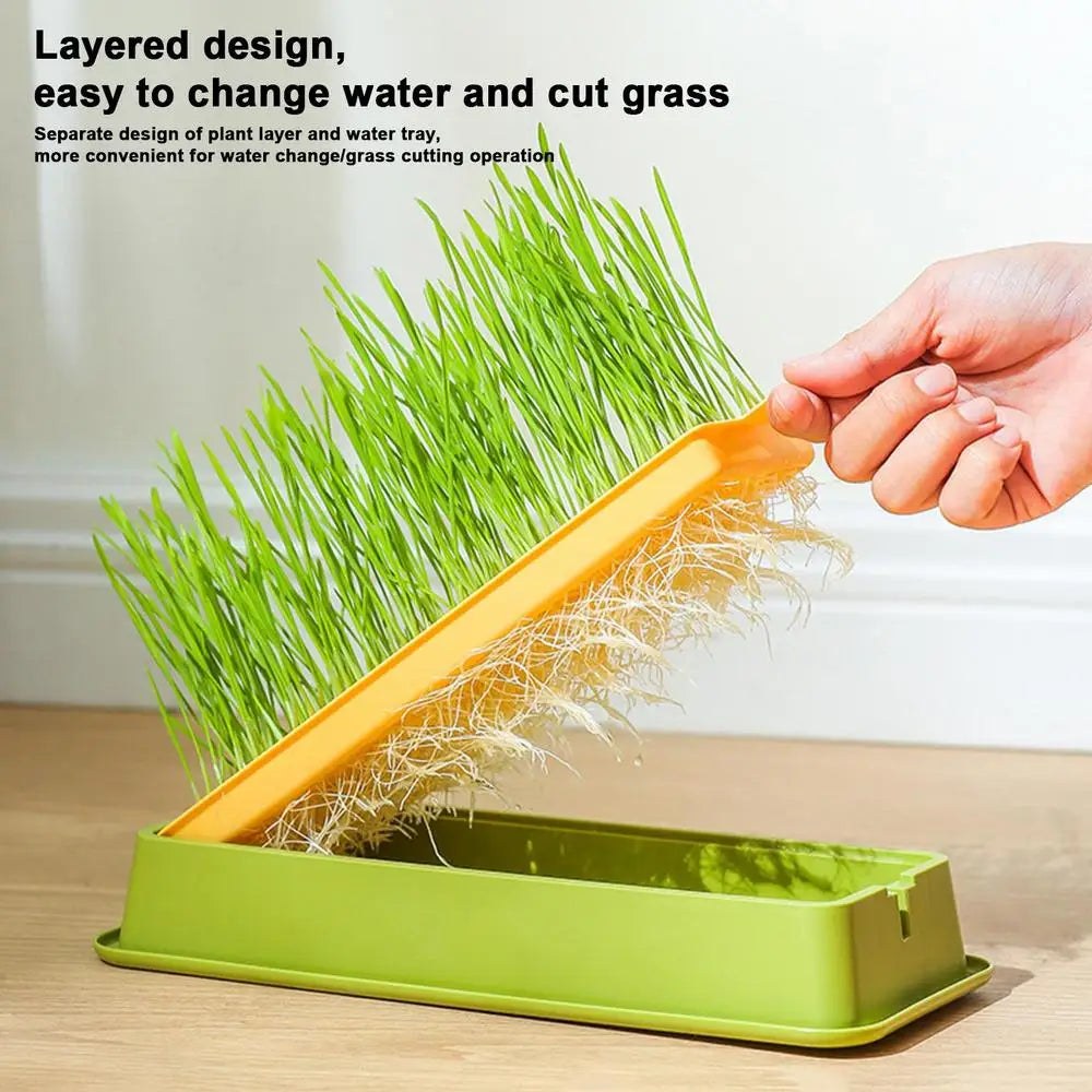 Cat Grass Planter Layered Cat Plant Soilless Convenient Cat Grass Kit 4 Styles Pet Supplies Multifunctional For Veterinary