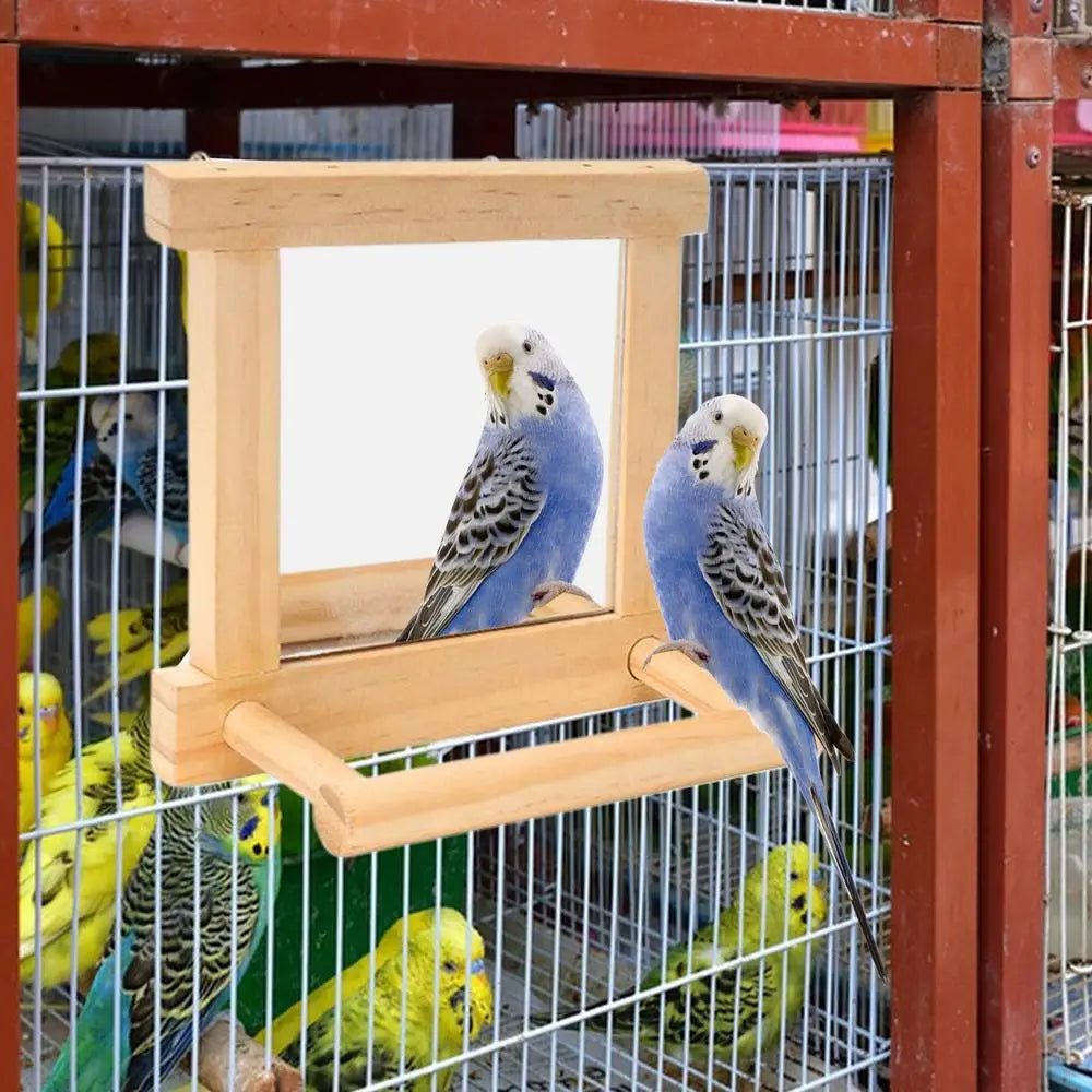 Bird Mirror Perches For Cage Cockatiel Climbing Branch Toy Natural Wood Parrot Cage Pole For Parakeets Cockatiels Lovebirds
