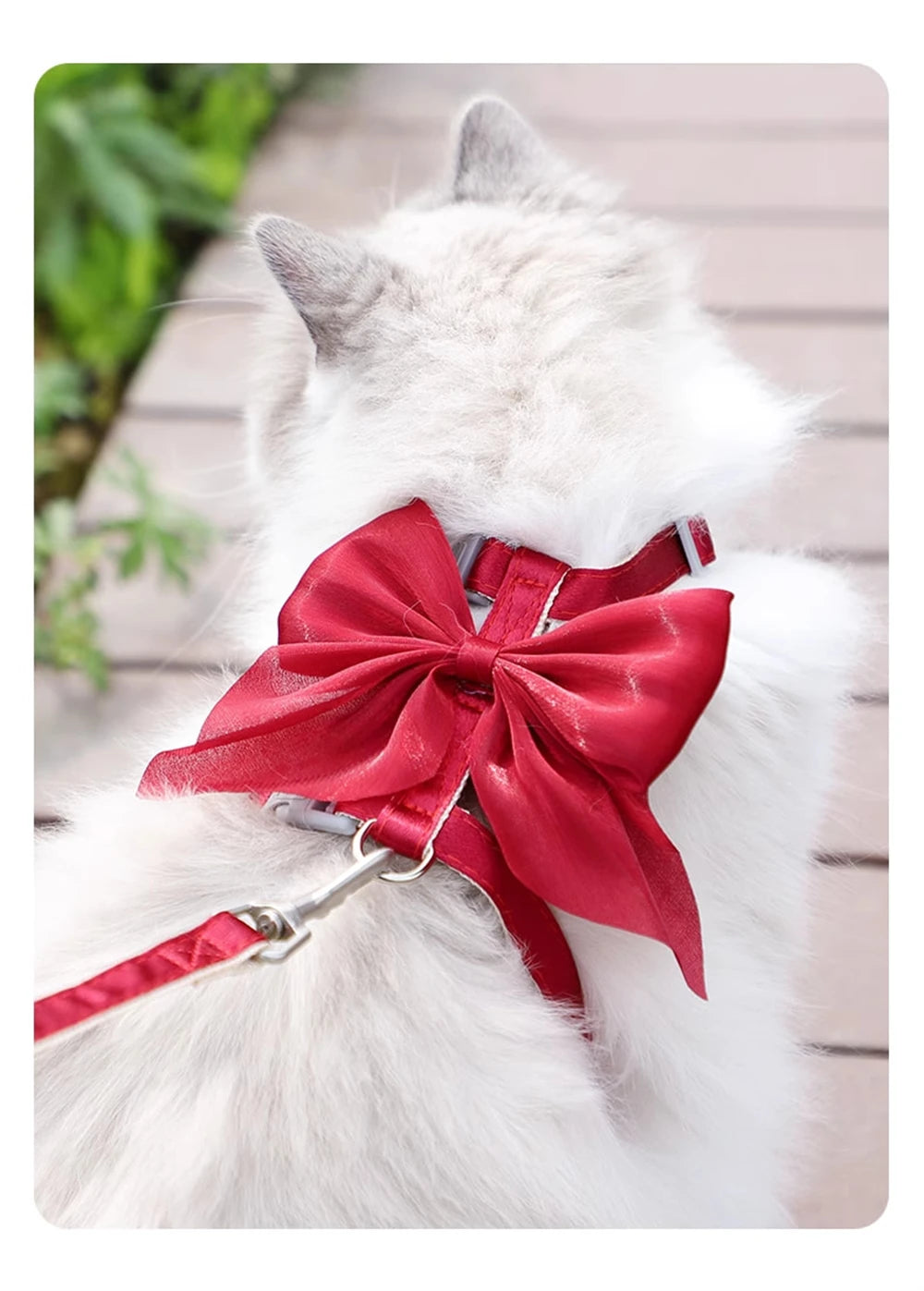 Cute Bowknot Cat Harness Accessories Princess Cat Dress Costumes Kitten Puppy Harness For Cats Leash
